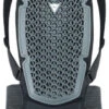 Dainese Pro Armor Back Protector G2 1 Dainese Pro Armor Back Protector G2 -NITRO || Salomon || Jones Winkel dainese pro armor back protector g2 black 0